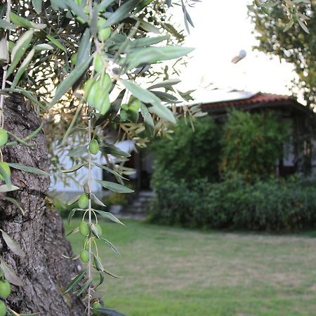 Apartamento Patroudis House Skala Rachoni  Exterior foto