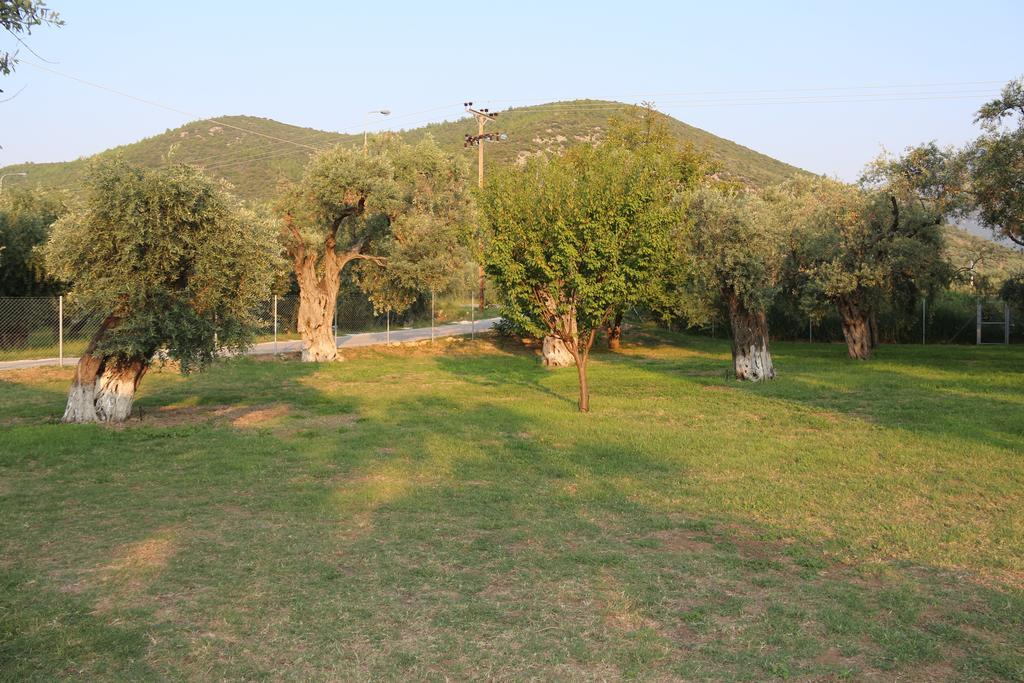 Apartamento Patroudis House Skala Rachoni  Exterior foto