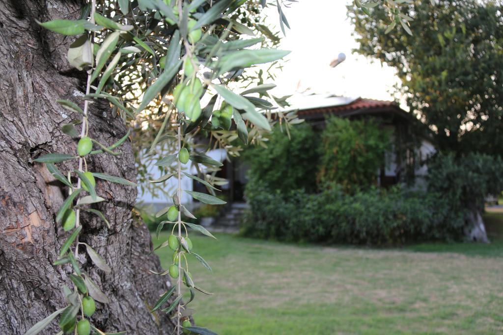 Apartamento Patroudis House Skala Rachoni  Exterior foto