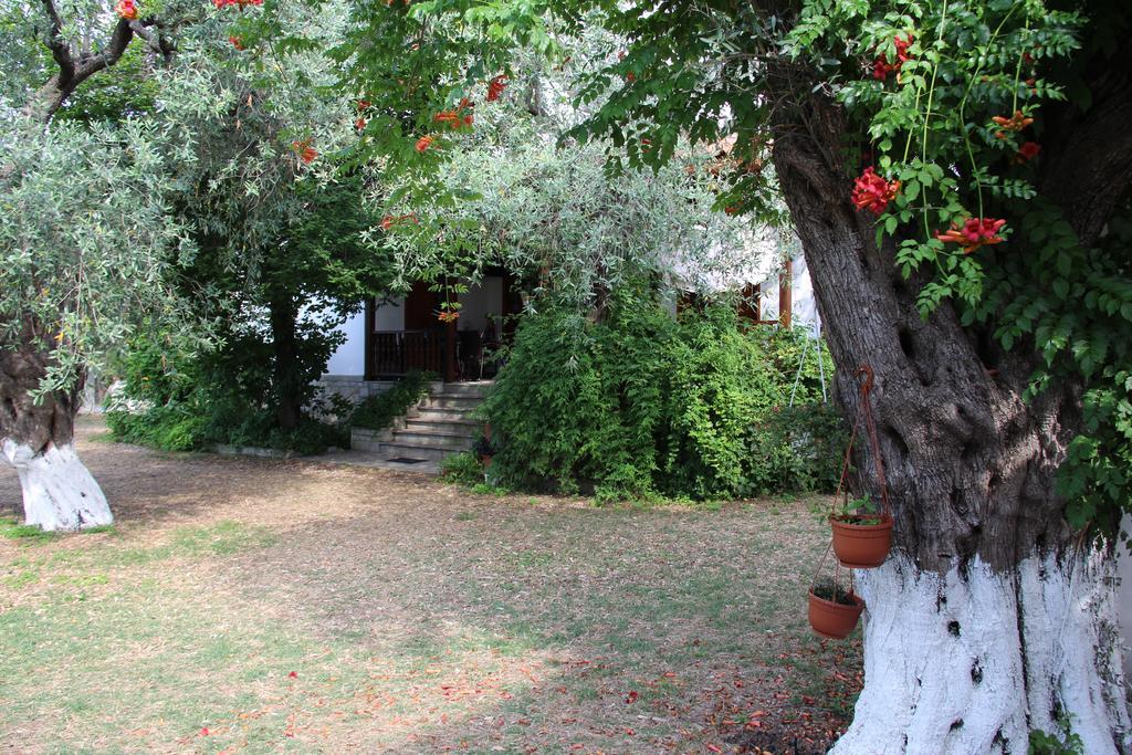 Apartamento Patroudis House Skala Rachoni  Habitación foto