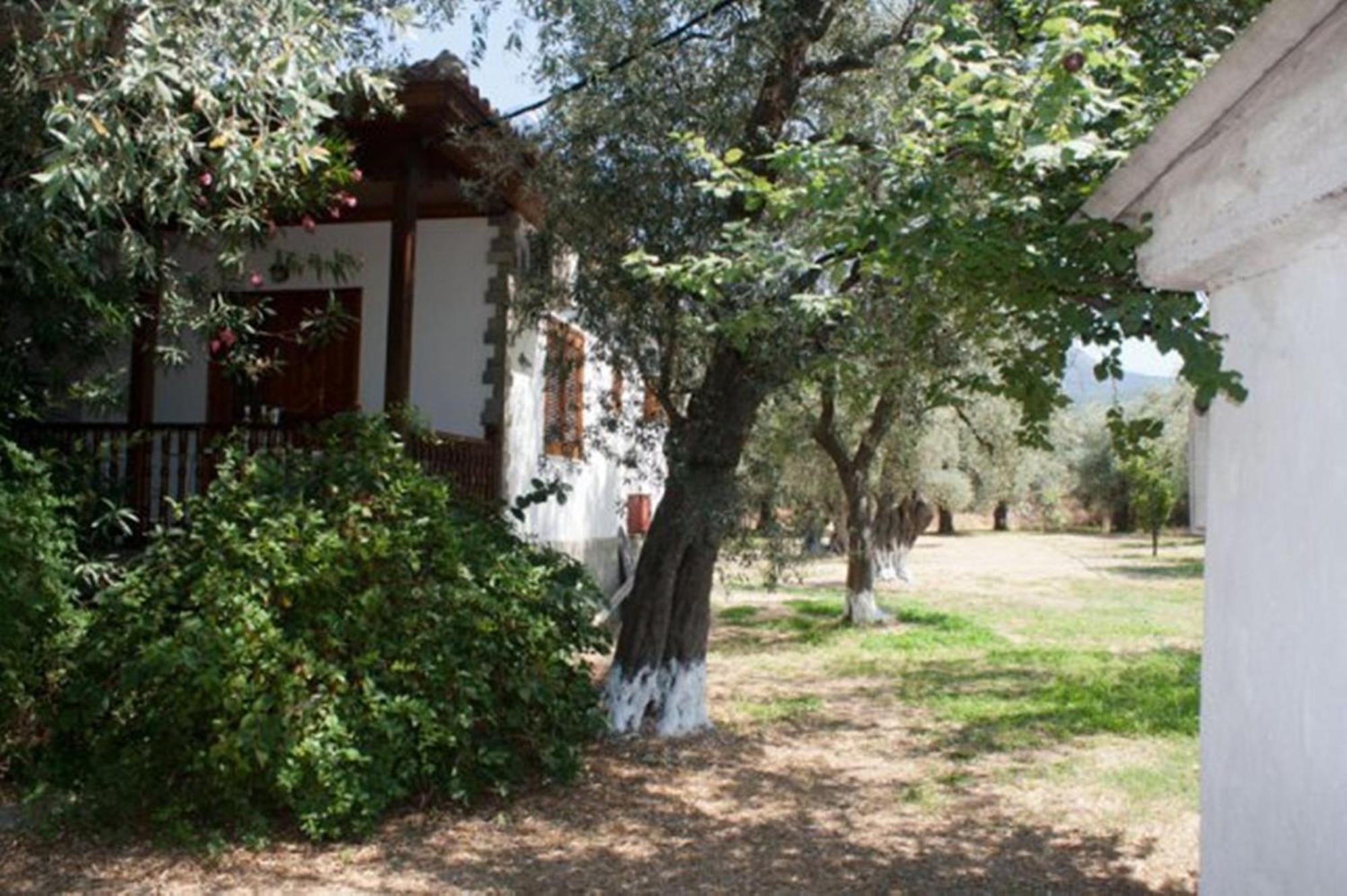 Apartamento Patroudis House Skala Rachoni  Exterior foto