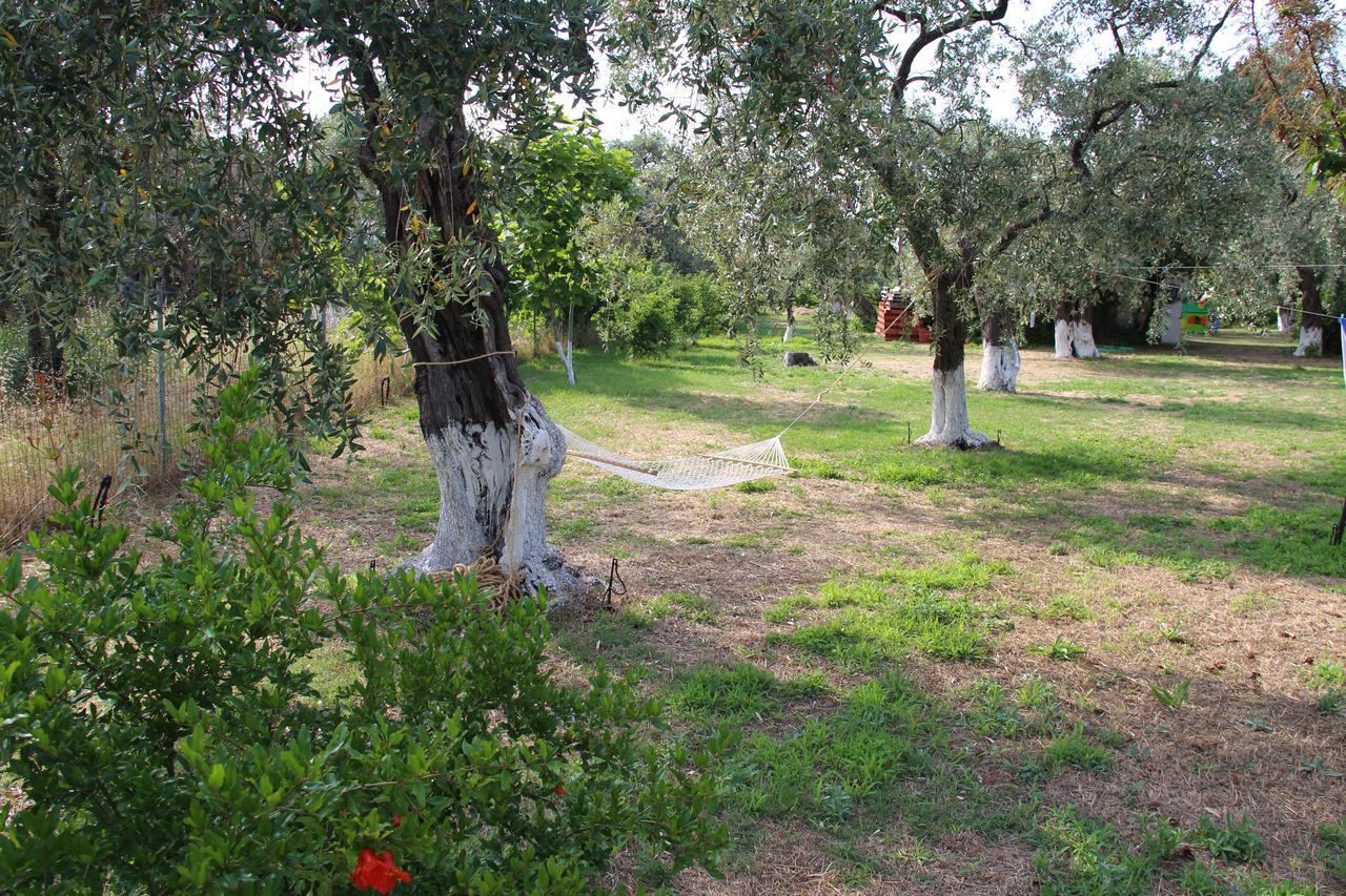 Apartamento Patroudis House Skala Rachoni  Exterior foto